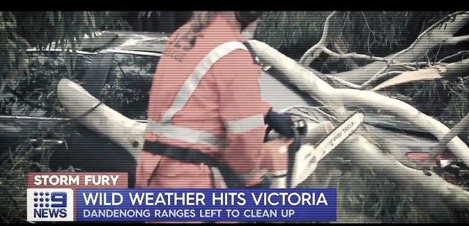 VICSES 2021 A year in review media coverage
