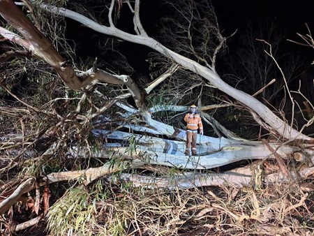 Storm damage