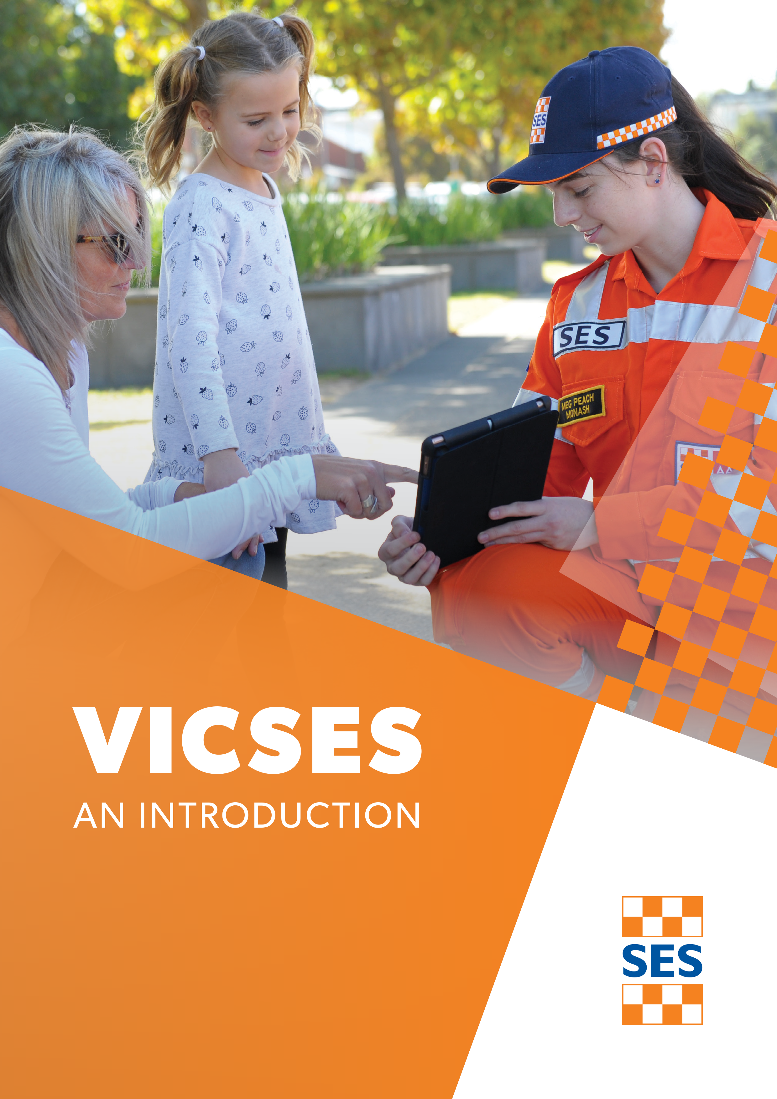 VICSES An Introduction